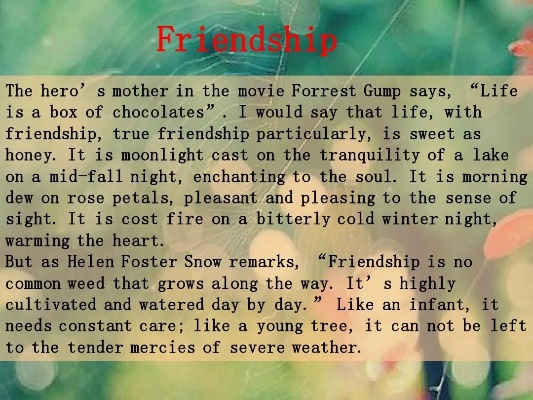 Friendship through the Years: The English Version of Memories Shared