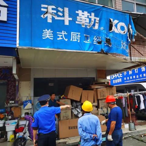 资料大全正版原料|探索城市隐秘角落的魅力_经典版APP.3.338